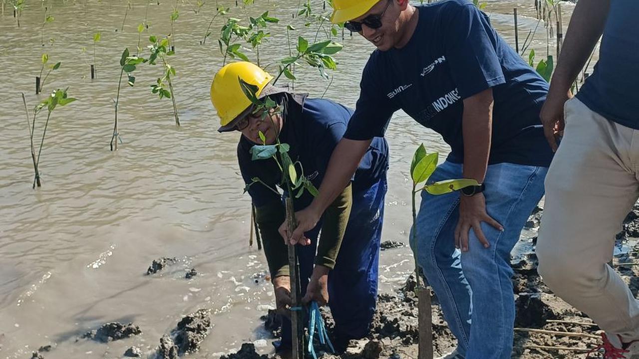 PNM Gandeng PT Waskita Beton Precast Tanam Mangrove dan Beri Akses Air Bersih