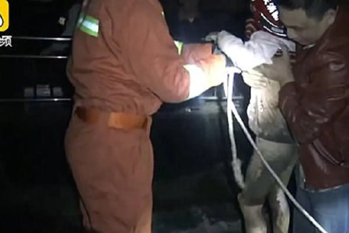 Hilang Beberapa Jam, Gadis Kecil Ditemukan di Dalam Septic Tank