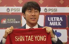 Potret Shin Tae-yong Nonton Liga 1 Bersama Staf, Ternyata 3 Hari Sebelumnya PSSI Sudah Wawancara Pelatih Baru