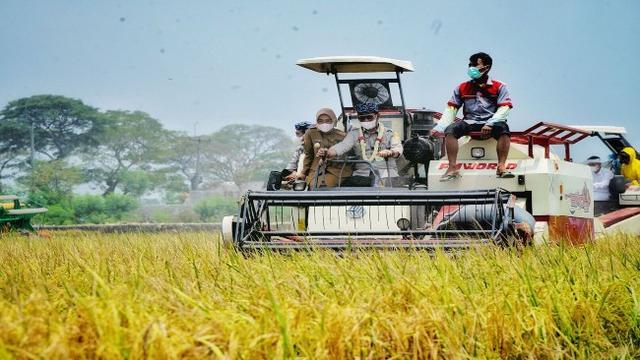 Mentan Syahrul Yasin Limpo Sebut 4 Tantangan Terbesar di Sektor Pertanian