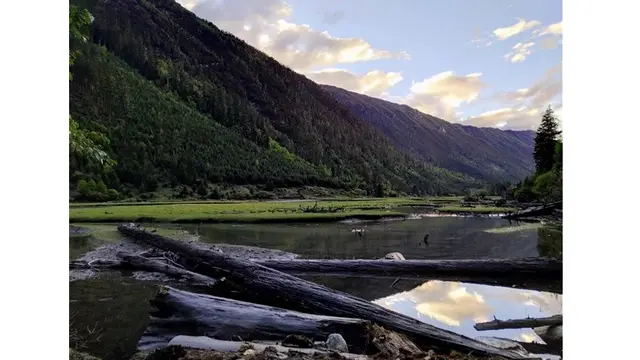 Hasil foto kamera Mi A2