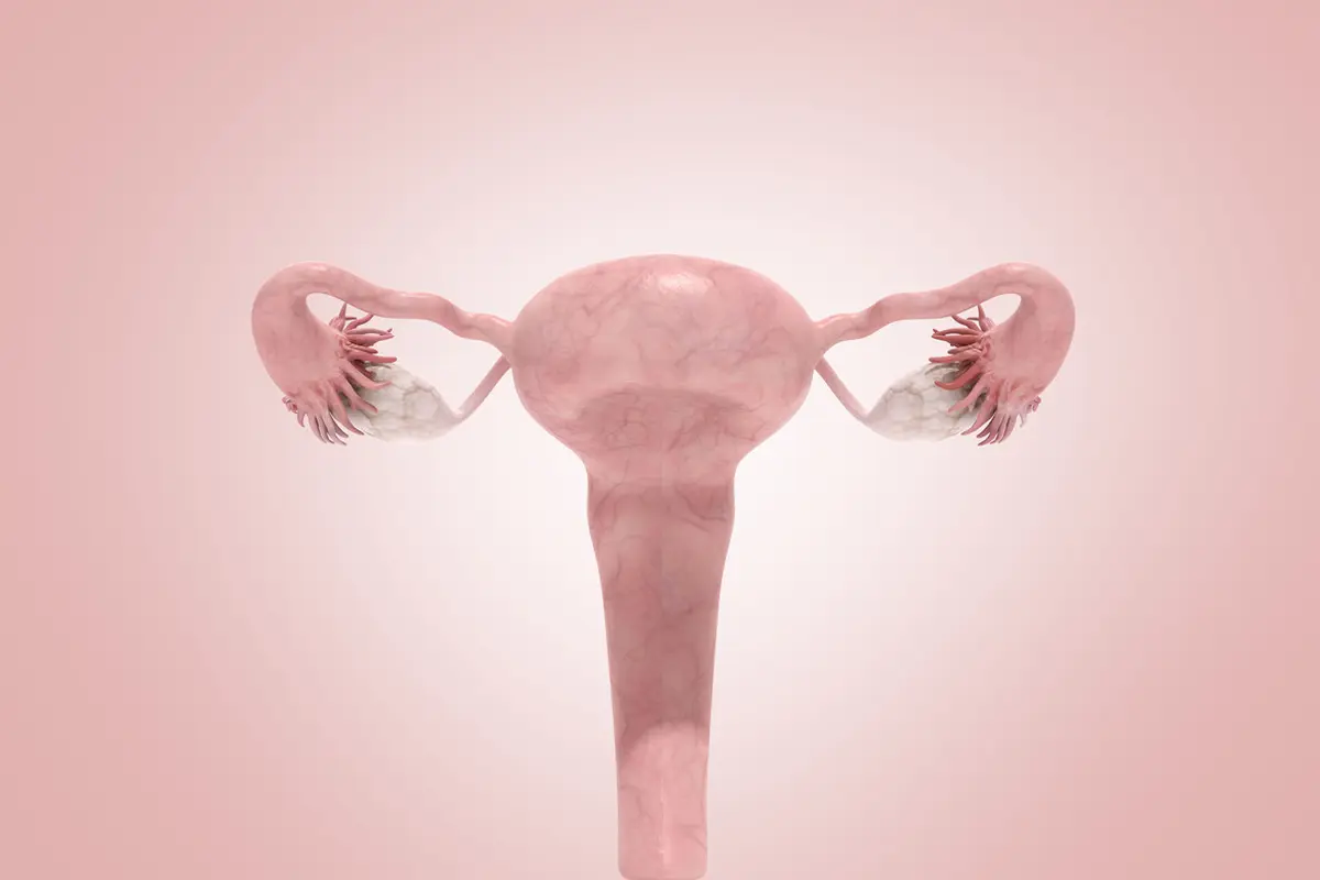 Vagina