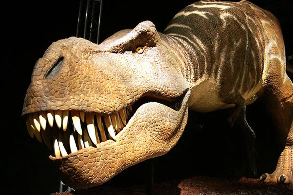 Terkuak, Dinosaurus Muncul 10 Juta Tahun Lebih Awal