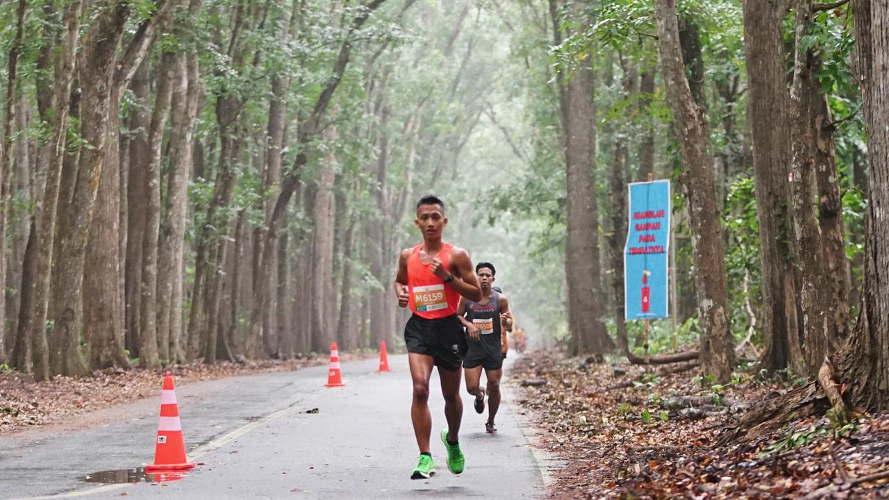Alas Purwo Jungle Run