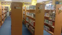 Krisis Buku Bacaan Budaya Melayu untuk Anak di Perpustakaan Batam