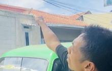 Warga Bogor Meninggal Dunia Usai Disengat Tawon