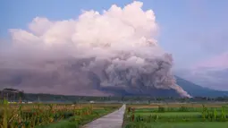 Gunung Semeru mengeluarkan material vulkanik saat erupsi, Lumajang, Jawa Timur, Indonesia, Minggu (4/12/2022). Pos pantau melaporkan titik kolom abu teramati kurang lebih 1.500 meter di atas puncak. (AP Photo)