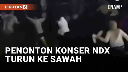 VIDEO: Viral Penonton Turun ke Sawah Saat Konser NDX AKA di Magelang