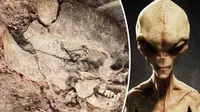 Ditemukan Tengkorak Berbentuk 'Telur', Jasad Alien?