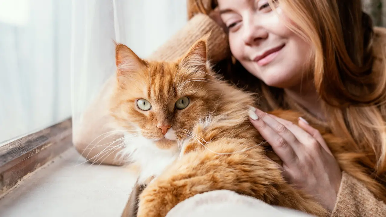 Cat and Owner