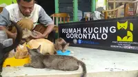 Mohamad Djafar, warga Kota Gorontalo yang mendirikan Panti Asuhan Kucing Terlantar (Foto: Arfandi Ibrahim/Liputan6.com)