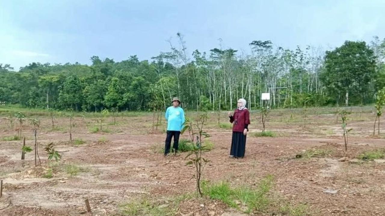 Dishut Kalsel Pastikan Program REDD+ di Banjarbaru Optimal, Dukung Rehabilitasi Hutan dan Penurunan Emisi