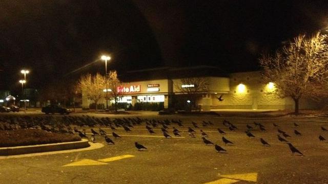 8 Potret Mengerikan Ini Bakal Bikin Bulu Kudukmu Berdiri