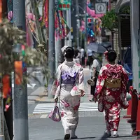 Pengunjung mengenakan kimono saat mengikuti The Star Festival di Haratsuka,Tokyo, Jumat (7/7).  Dalam festival ini mereka menuliskan keinginan dalam potongan kertas berwarna digantungkan pada cabang bambu di sekitar rumah mereka. (AP/Eugene Hoshiko)