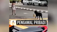 Seekor anjing mendadak viral di media sosial. Ini disebabkan anjing tersebut tengah membawakan tas majikannya. Peristiwa ini terjadi di Bukit Bintang, Malaysia.