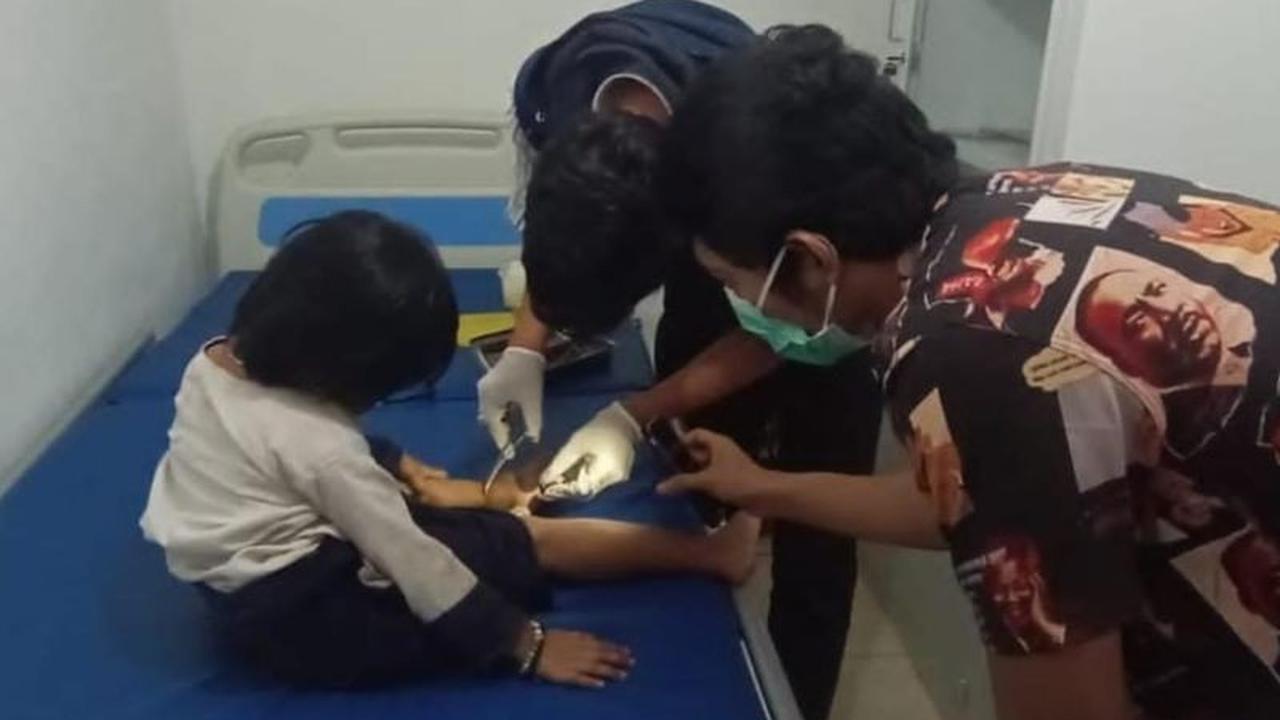 Korban Gigitan Ular Badui Meningkat: 62 Warga Terkena, 11 Meninggal Sepanjang 2025