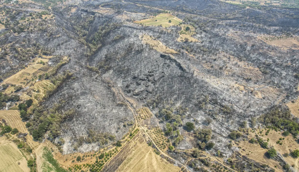 Foto udara menunjukkan kerusakan usai kebakaran hutan di dekat kota pesisir Mediterania Manavgat, Antalya, Turki, Jumat (30/7/2021). Korban tewas dalam kebakaran hutan tersebut menjadi empat orang saat kebakaran terjadi. (AP Photo)