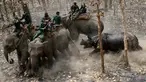 Seekor badak menyerang sejumlah petugas konservasi yang menunggangi gajah saat dilepas di Taman Nasional Chitwan sekitar 250 kilometer sebelah selatan Kathmandu, Nepal (4/4). (AFP Photo / Prakash Mathema) 