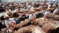 Ratusan buruh Indonesia bekerja di pabrik tembakau di pabrik rokok di Jember (13/2/2012). (AFP / ARIMAC WILANDER)