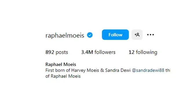 <p>Cek Fakta pengikut Raphael Moeis di Instagram</p>