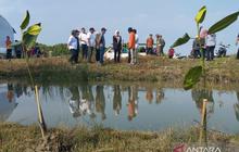 Penanaman Mangrove Demak: Solusi Jangka Panjang Pemkab Atasi Rob dan Abrasi