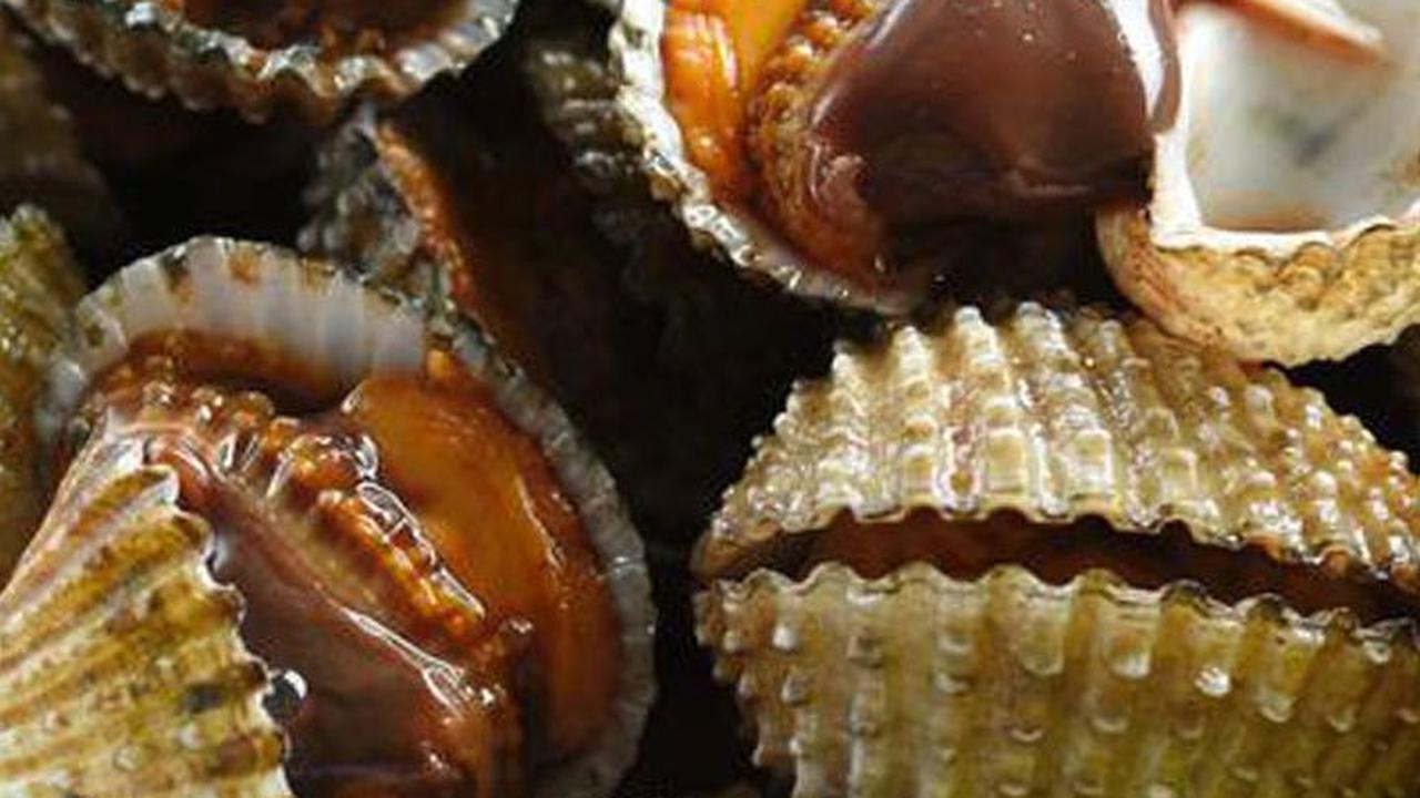 Ikan dan Kerang