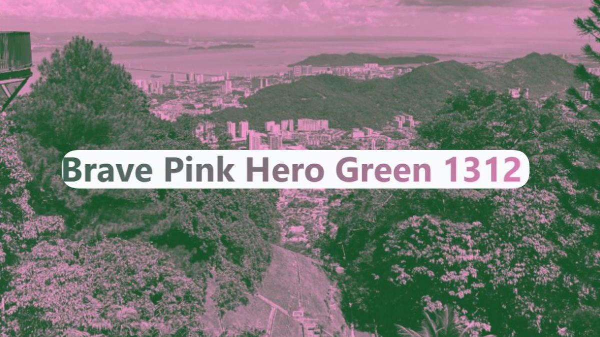 Mengapa Brave Pink Hero Green 1312 Begitu Viral? Ini Alasannya