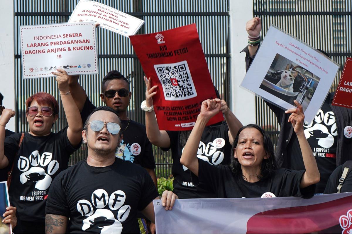 Aktivis Hewan Luapkan Kekecewaan RUU Perlindungan Anjing-Kucing Gagal Masuk RUU Prolegnas