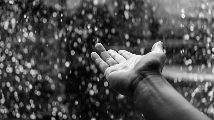 copyright pexelas.com/tookapic