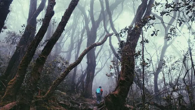 Gunung Pesagi di Lampung, Sulawesi Selatan memiliki dua jalur populer