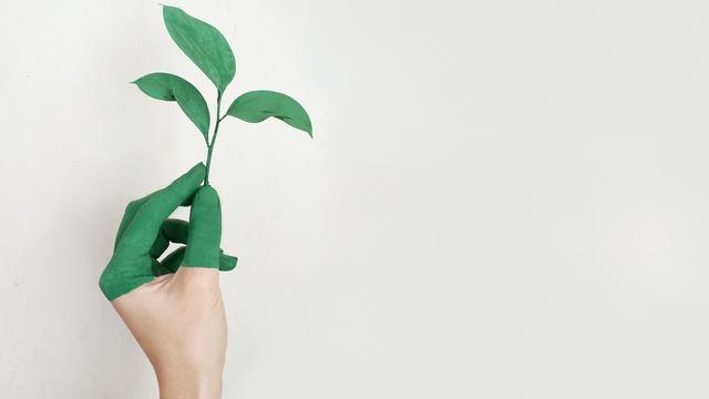 5 Juni Hari Lingkungan Hidup Sedunia Jangan Lupa Jaga Keanekaragaman Hayati Global Liputan6 Com