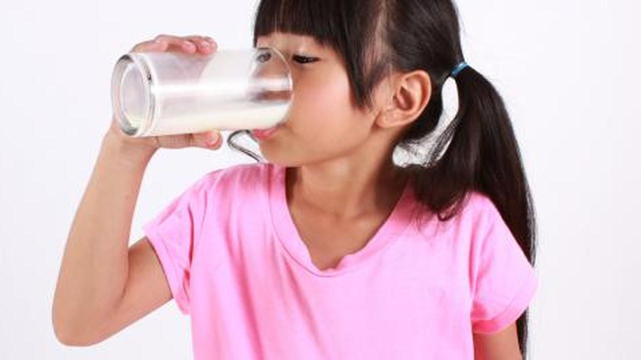 Susu sapi bisa bikin gendut?