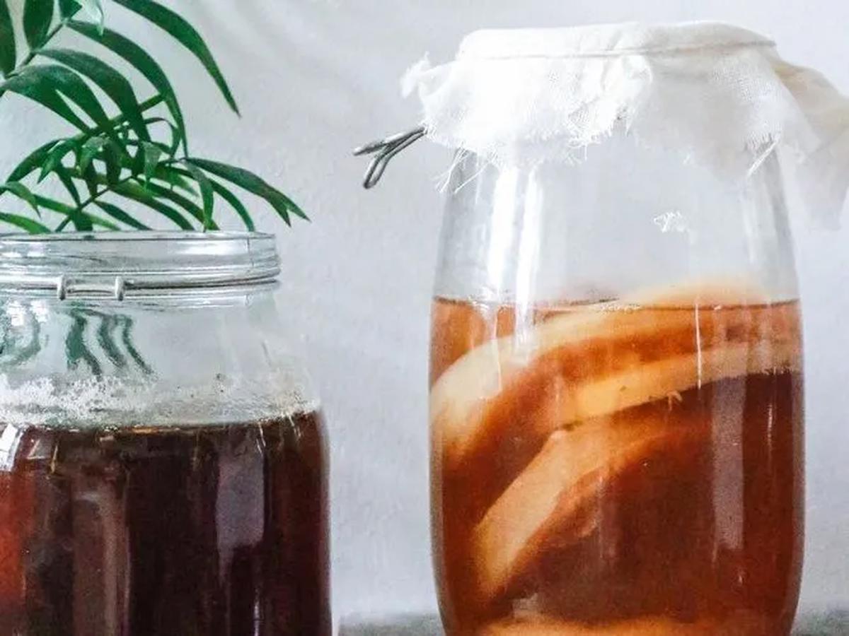 Manfaat Kombucha untuk Kesehatan