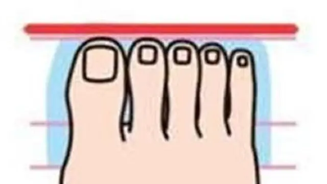 kaki kotak