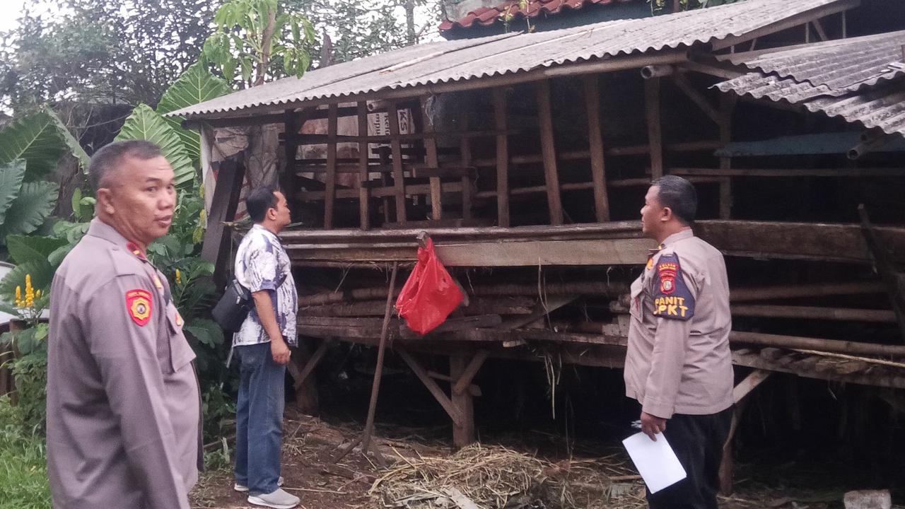 Kronologi Kambing Warga Depok Dicuri Hanya Tersisa Jeroan dan Ceceran Darah