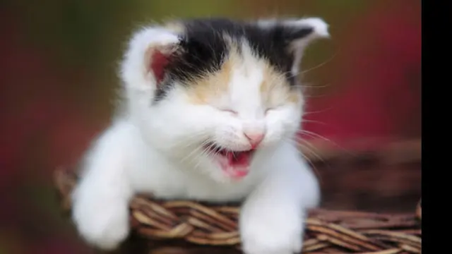 Foto: copyright kcwphoto.tistory.com