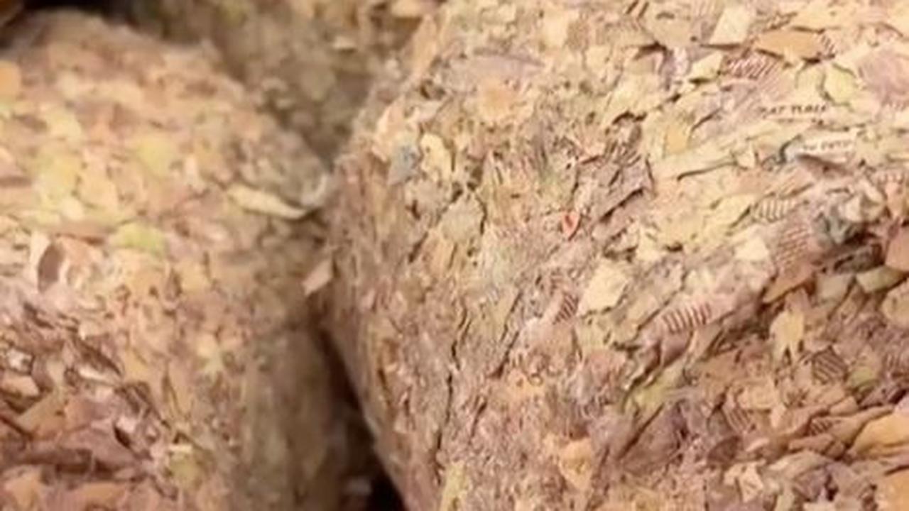 Penampakan Uang yang Hancur dan jadi Sampah<br>