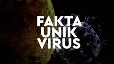 Virus berasal dari bahasa Latin yang berarti racun. Dari hasil penelitian, virus memiliki sejumlah fakta kehidupan yang cukup unik.