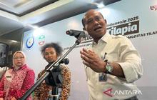 Fakta Unik: Tingkat Kelangsungan Hidup 70%, Budidaya Lobster Indonesia Kini Siap Saingi Vietnam