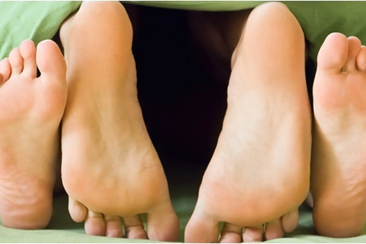 Foto: copyirght shutterstock.com
