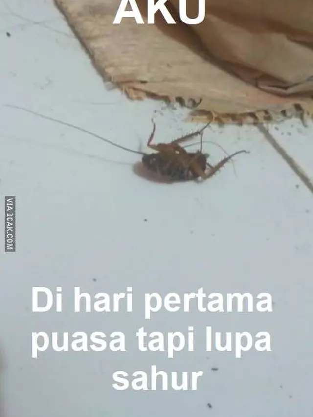 Masih Adaptasi, Ini 7 Momen Nyeleneh Sahur Hari Pertama