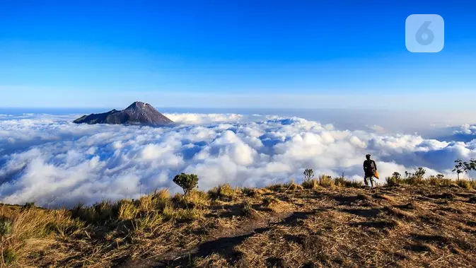Merbabu 'Tutup Pintu': Dua Jalur Pendakian Rehat Agustus!