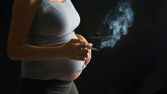 Photo: Copyright stayathomemum.com.au