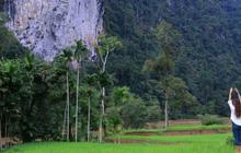 Ada Bebatuan Purba Berusia Ratusan Tahun, Intip Sejarah Geopark Silokek di Sumatra Barat