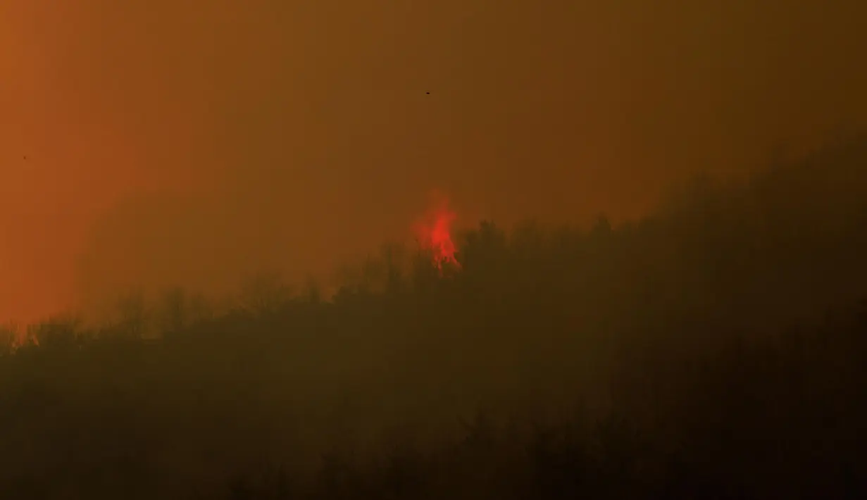Menurut pemerintah setempat, kebakaran hutan mulai terjadi pada Jumat (21/3/2025) di daerah selatan Sancheong. (YASUYOSHI CHIBA/AFP)