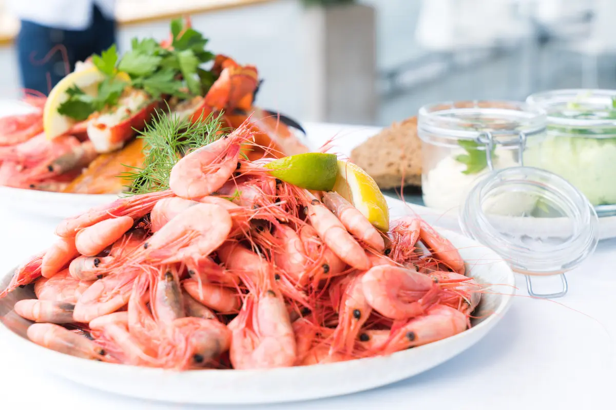 Udang