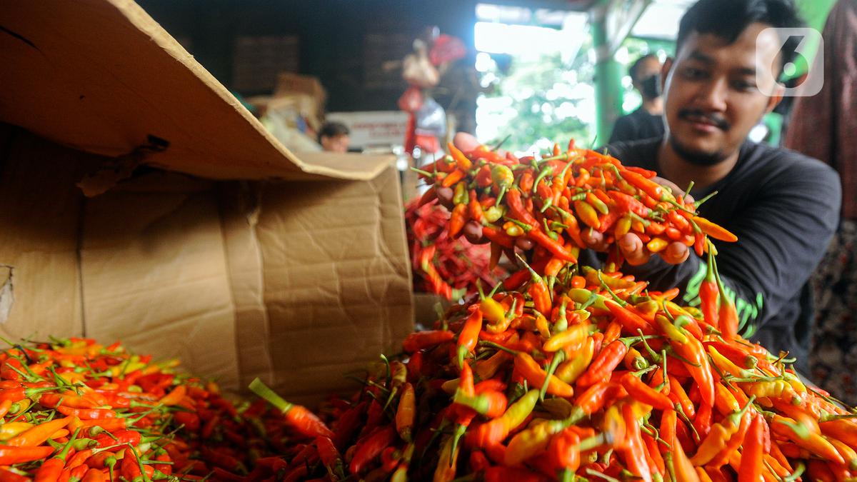 Harga Pangan Hari Ini 4 Mei 2025: Harga Cabai dan Daging Ayam Turun