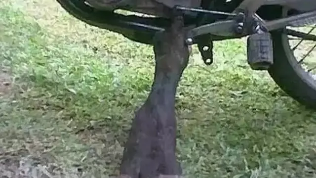 8 Potret Nyeleneh Modifikasi Standar Sepeda Motor Ini Unik Banget