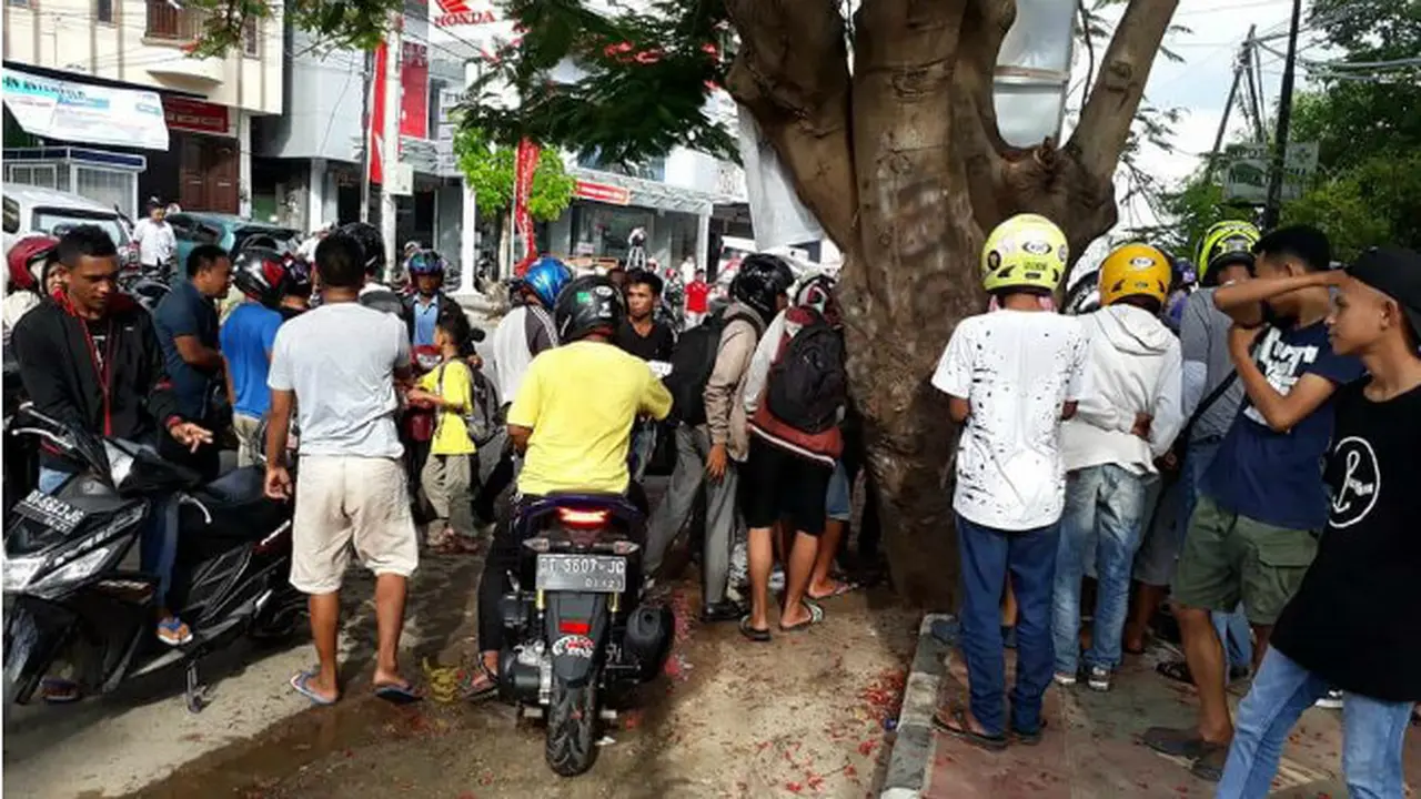 Rahasia Pohon Keramat Terbongkar di Kota Baubau