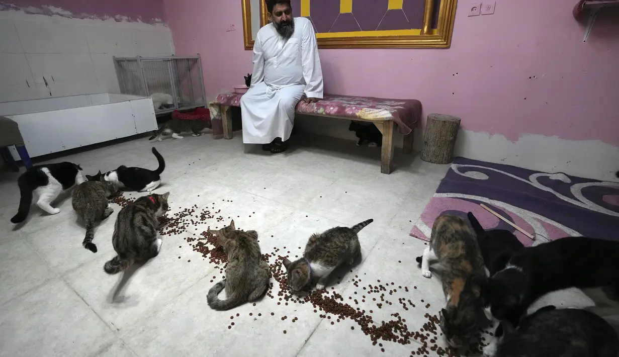 Di beberapa bagian dunia Muslim, anjing dianggap najis, diusir dengan teriakan, tongkat dan batu, dan kadang-kadang bahkan ditembak oleh pekerja kota dalam upaya yang gagal untuk mengendalikan populasi anjing liar. (AP Photo/Vahid Salemi)